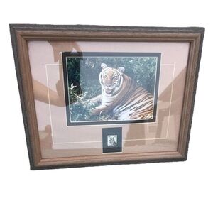Rare Tiger Wildlife Photography Print & Stamp Signed By Walter Kuck, Framed